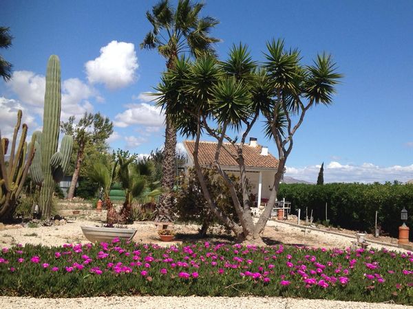 En el corazón de la huerta alicantina