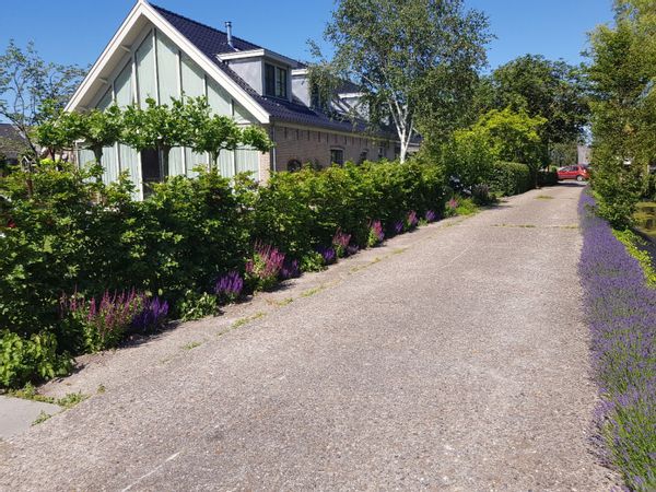 Farmhouse with amazing view