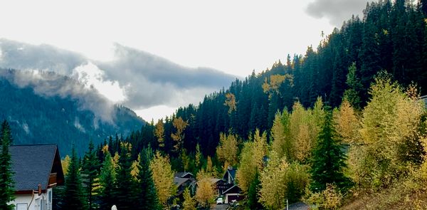 Scott and Leah Annina kuća