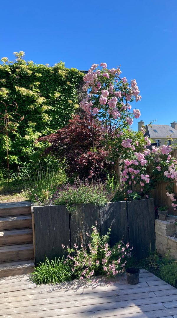 Cécile et Guillaumes hus