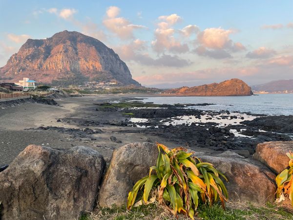 Christmas in Jeju! Available for GP's December 21 until January 6!