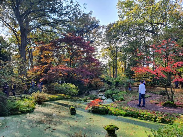 Family home with garden, near parks, dunes, beach and citycentre