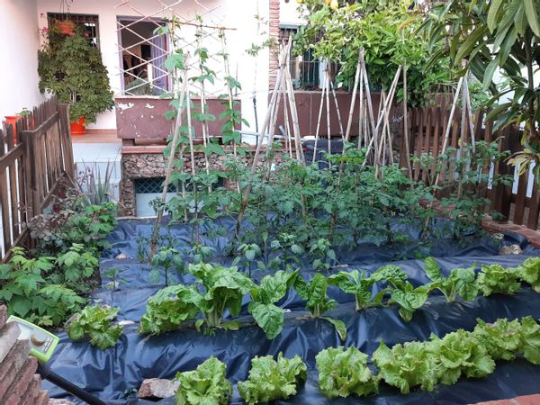 María Victorias hus