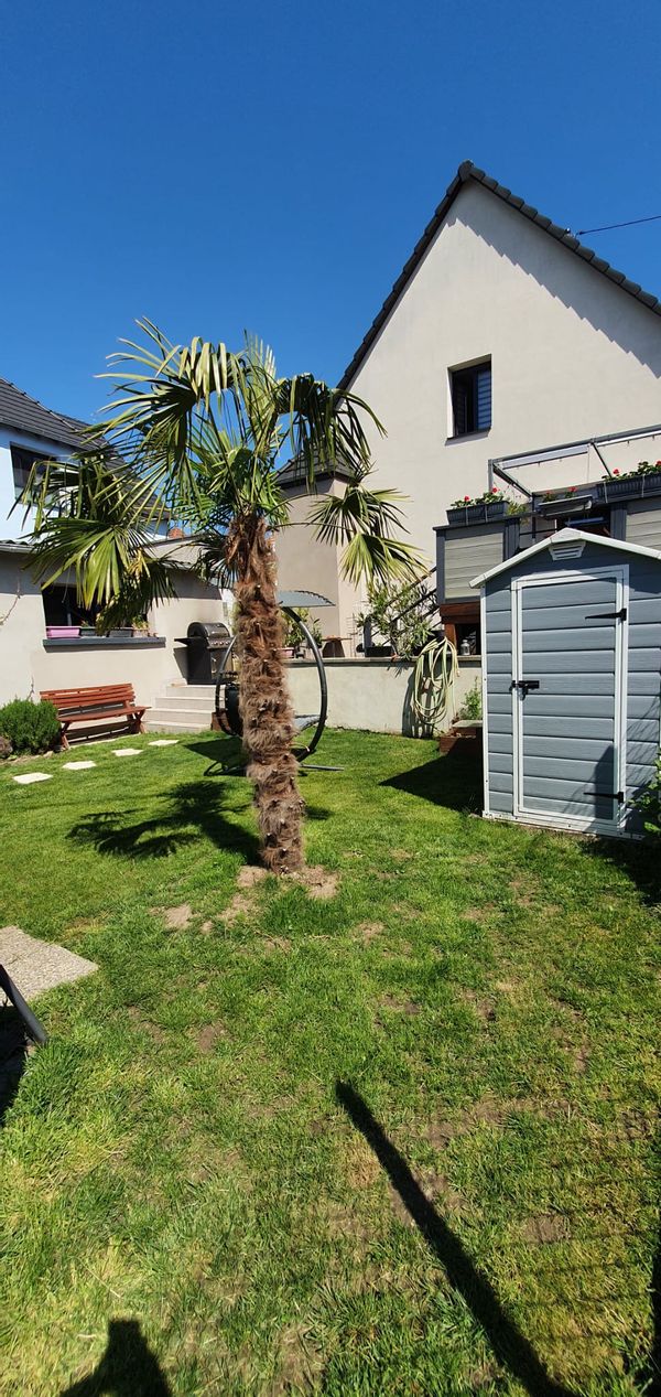 Dounia & Jonathans hus