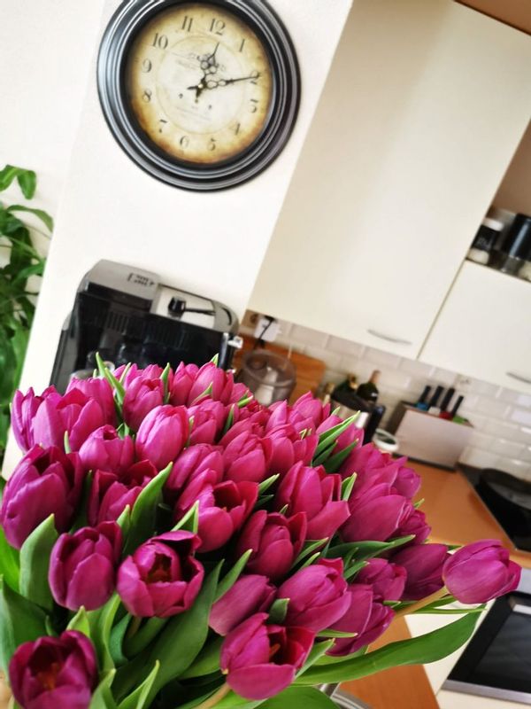 Thinking about spending your Christmas holidays?