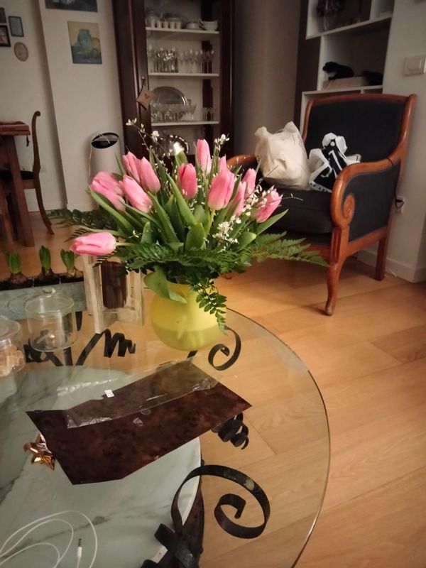 24km from Venice, 20 minutes by train. Trainstation 10 minutes by foot.