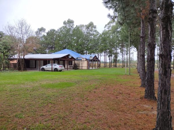 cesar augusto's house