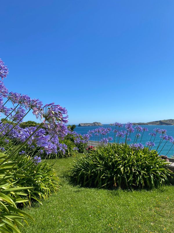 huis van Juanjo Herranz