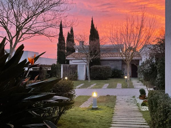 TYP LIVING HIGHs hus