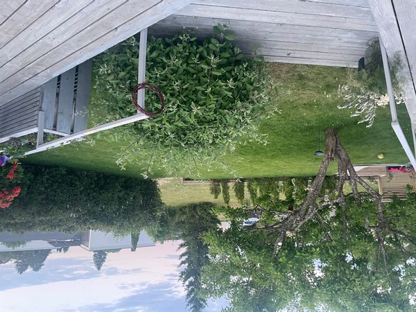 Family house close to nature and Oslo