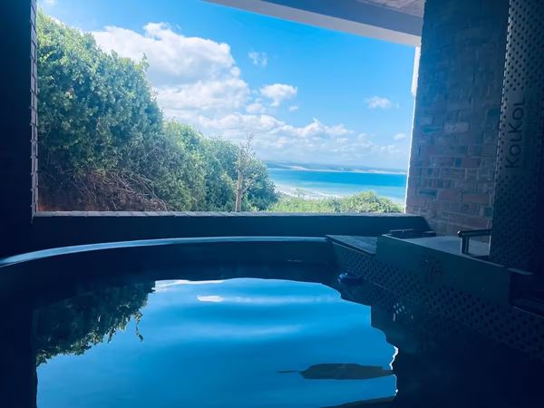 Francois Laurences hus