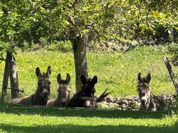 Jean paul et Corinnes hus