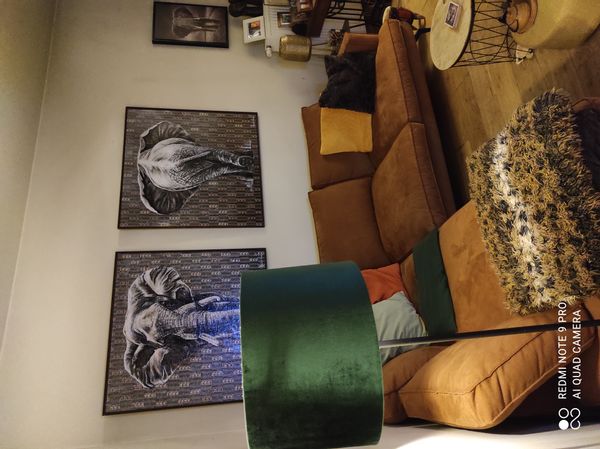 Gezellig huis in een leuke buurt