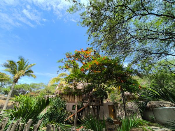 Amaro, Pepa & Axels hus