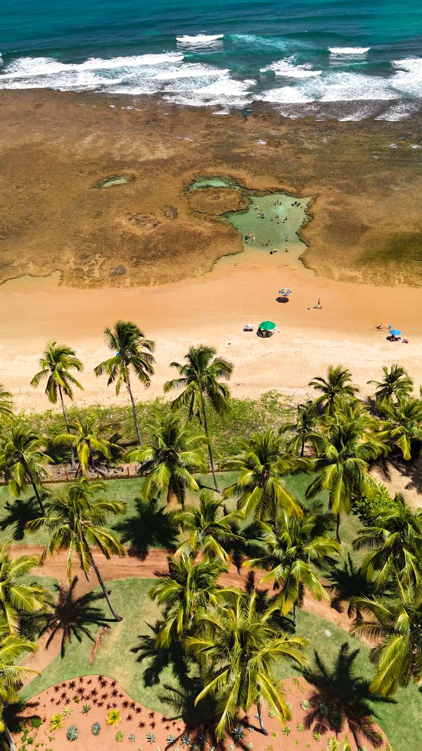 Ricardo Wandersons hus