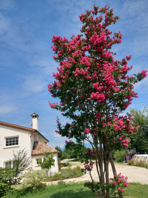 Renato Pozzobon's house