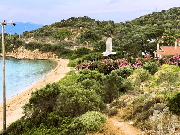 Zafeiria - Reina s Haus