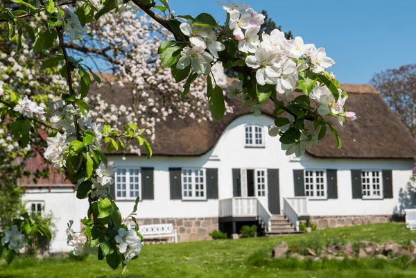 1700 listed Historic cottage on large Estate