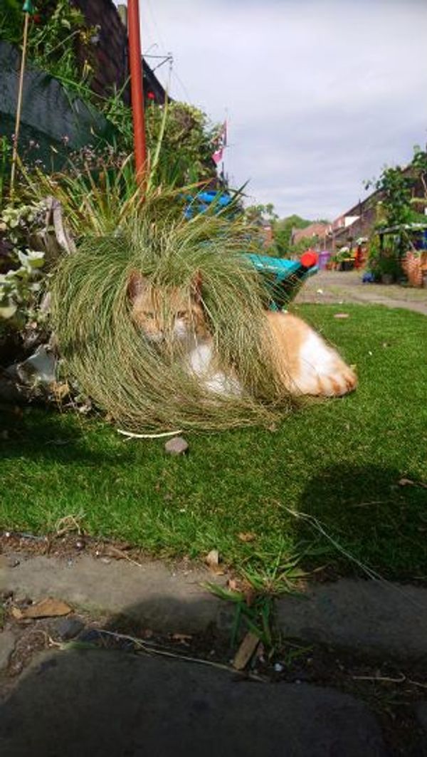 John and Alison's Homes hus