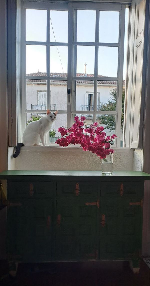 Nicolas & Itzelina kuća