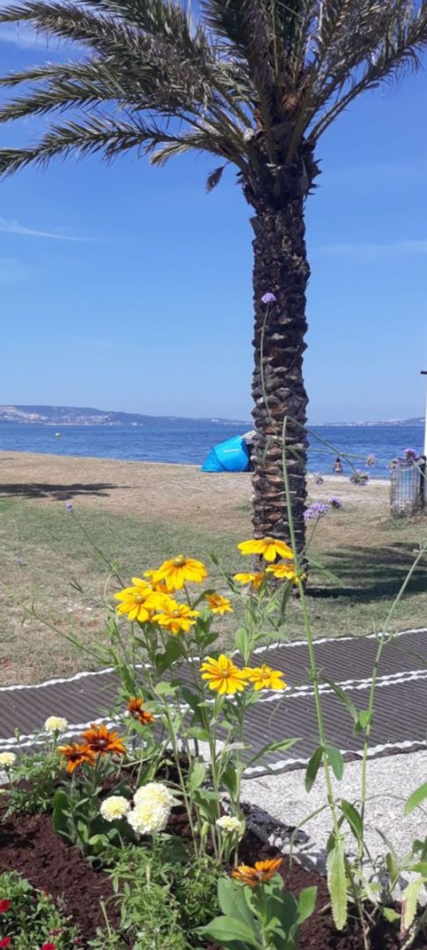 MOHAMED ALIina kuća