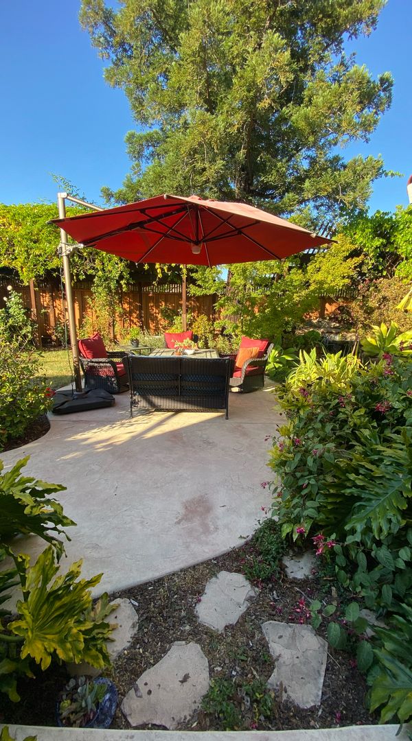 Californian Garden South Silicon Valley house (français, polski, english)