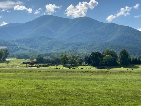 Secluded getaway in the national forest, but close to wineries and university towns