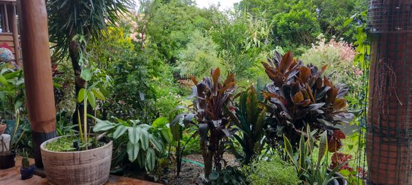 Michael and Maureen's house