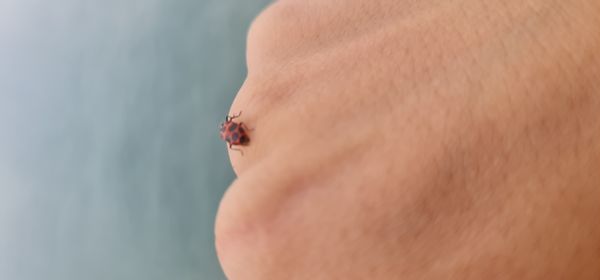 Rafaela e Vincenzzo!s hus