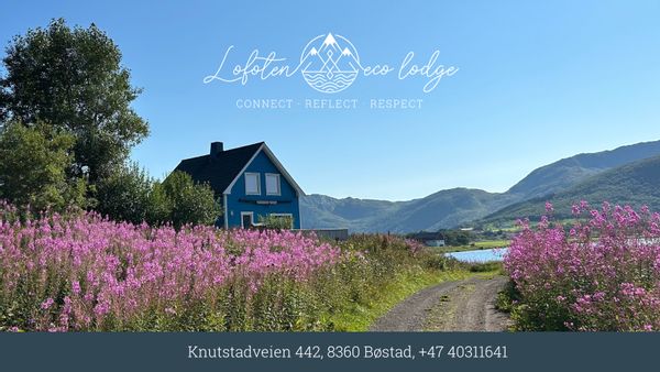 Privatzimmer mit Herz&Pfote