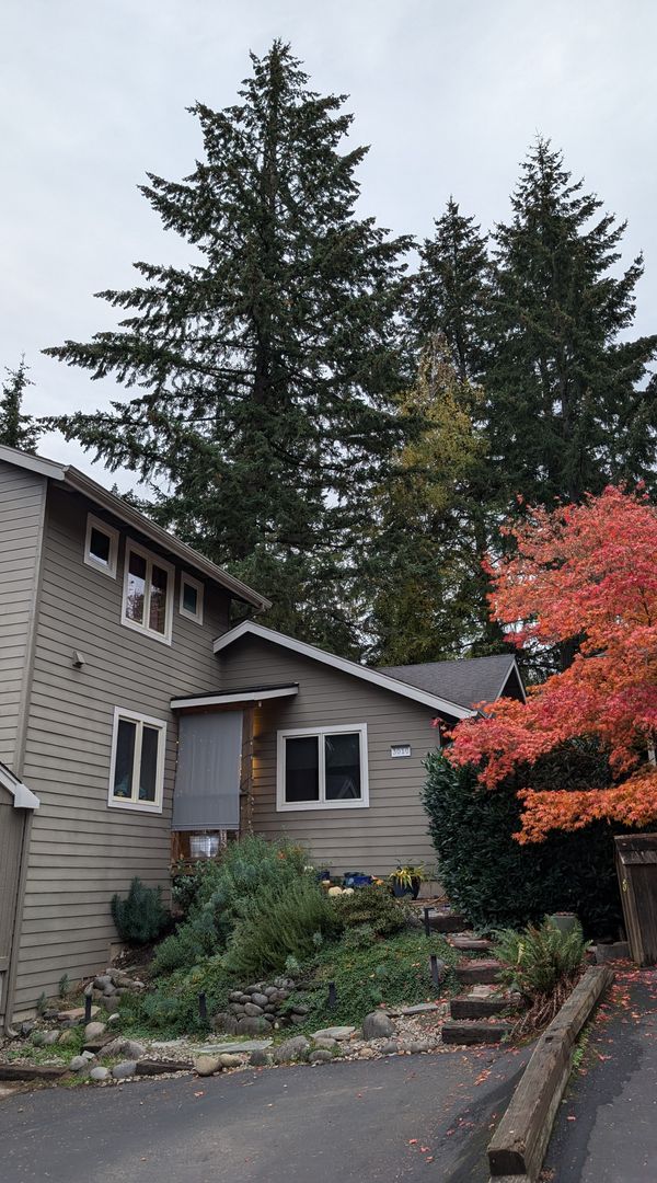 Katherine and Joel's house