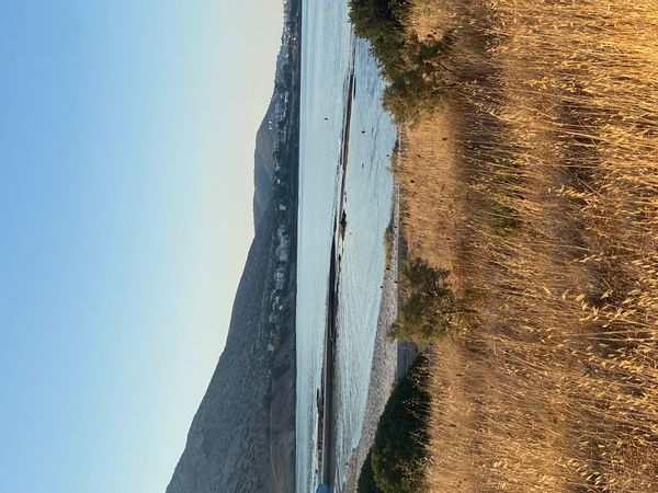 Dimitra's and Gabriel's House