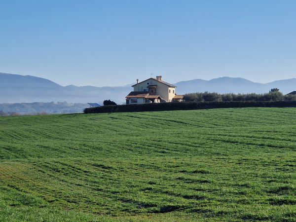 Stefano & Pamy's house