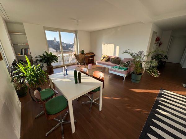 Charming apartment in the heart of Neuchatel just 5 minutes from the lake