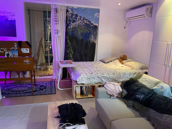 Amber’s Home in Gangnam