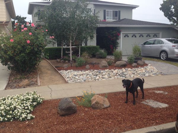 Quiet neighborhood house in the heart of Silicon Valley.