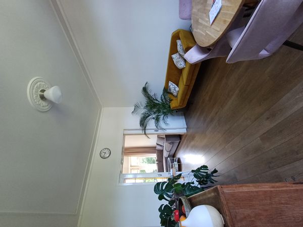 Charming 3-bedroom in walking distance of the city centre of Leiden.