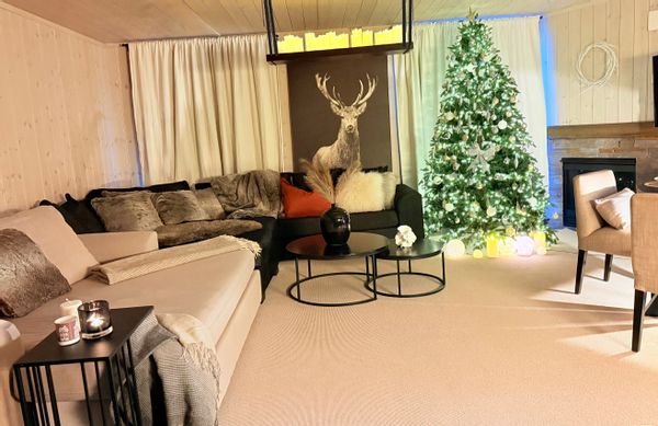 Apartment Hemsedal, the Norwegian ski mountain paradise; the best mountain destination in Europe