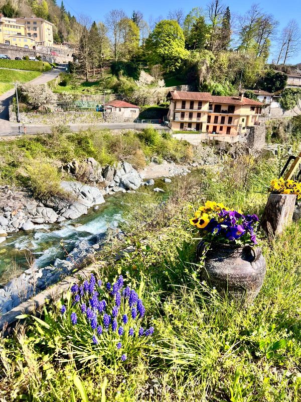 huis van Neta & Dotan