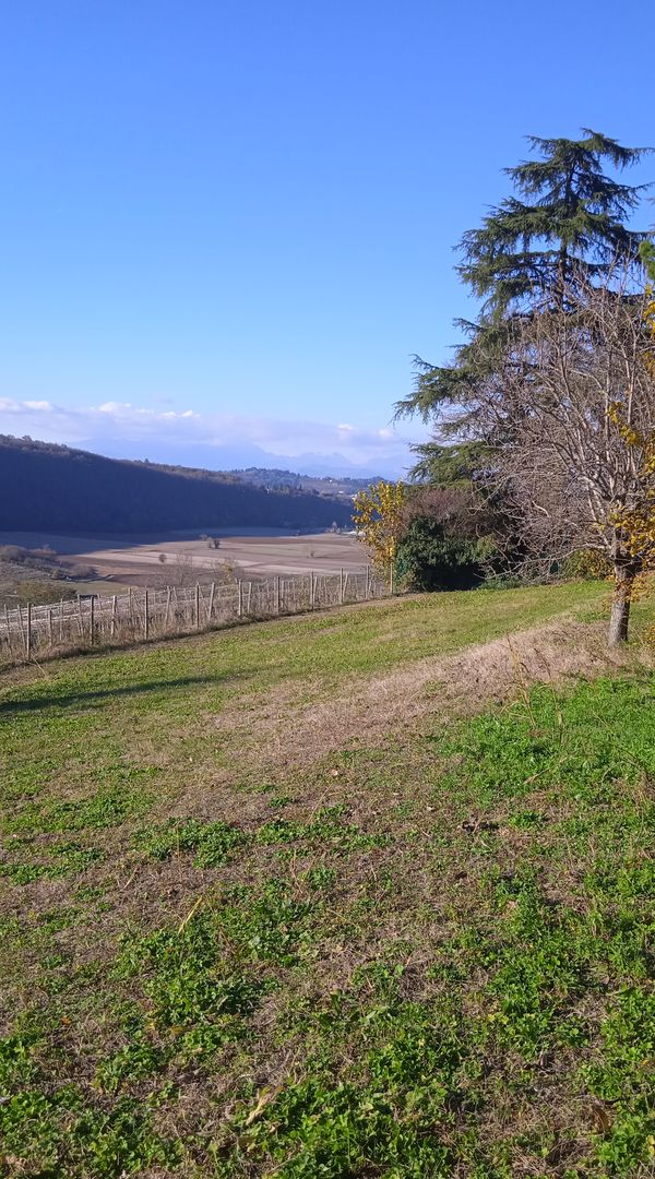 Rooms in a shared country house