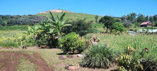 Constanza y Hernan's house