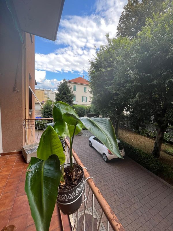 Nicolas & Priscillas hus