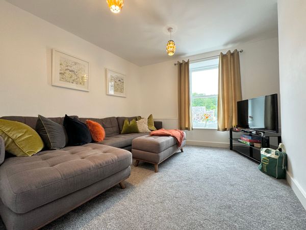 The Cardboard Box under the Bridge