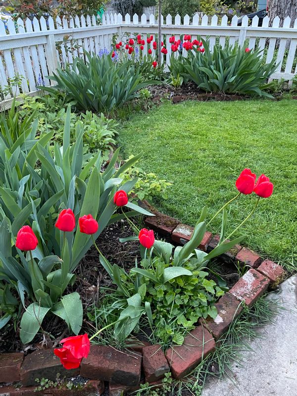 Sellwood Urban Cottage