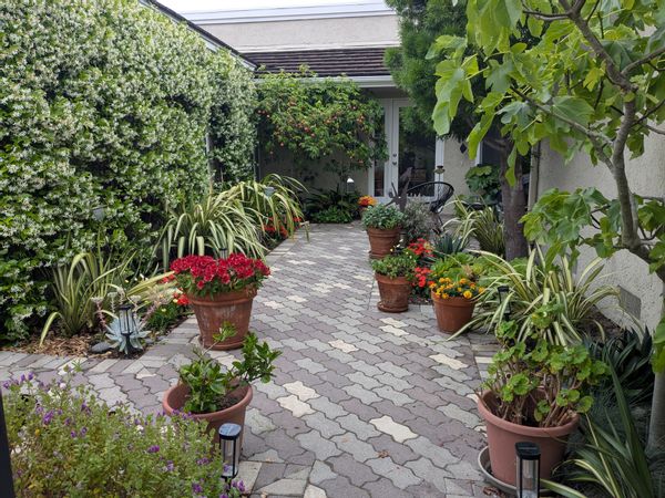Deborah and Jaime's lovely light filled house near the Dana Point and Laguna Beaches