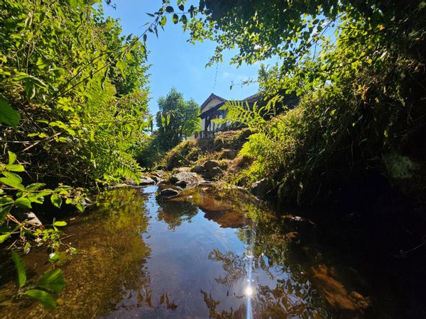 Barbara et Jérômes hus