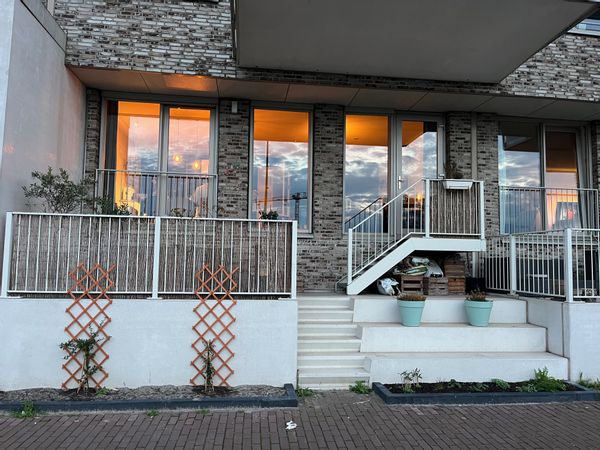 Family Steigenga's house