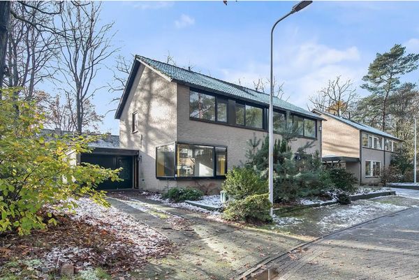 Foresty, modern and comfortable family home in the Veluwe nature reserve