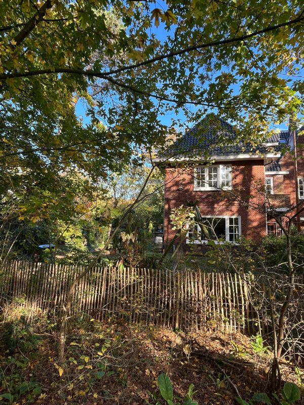 Upscale residential neighborhood surrounded by nature, close beach and Amsterdam. Must accept cats!