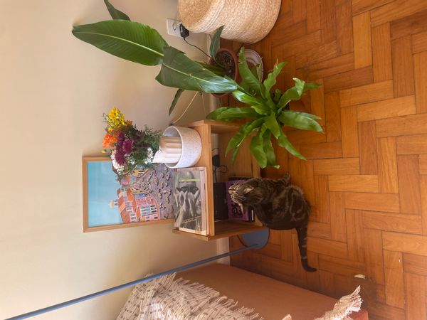 Bruna and Felipe s Haus